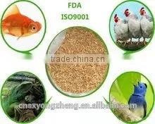 Dried Mealworms,Birds Food & Aquarium Fish Food photo-4