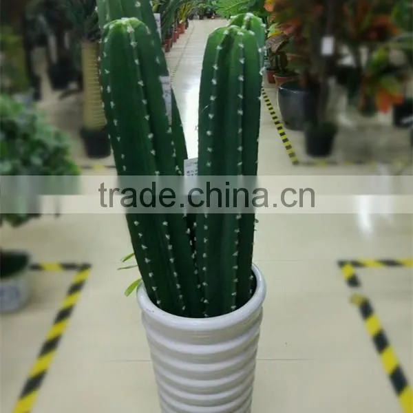 CHY030928 Real Touch Cactus for Garden Landscaping Decoration photo-2
