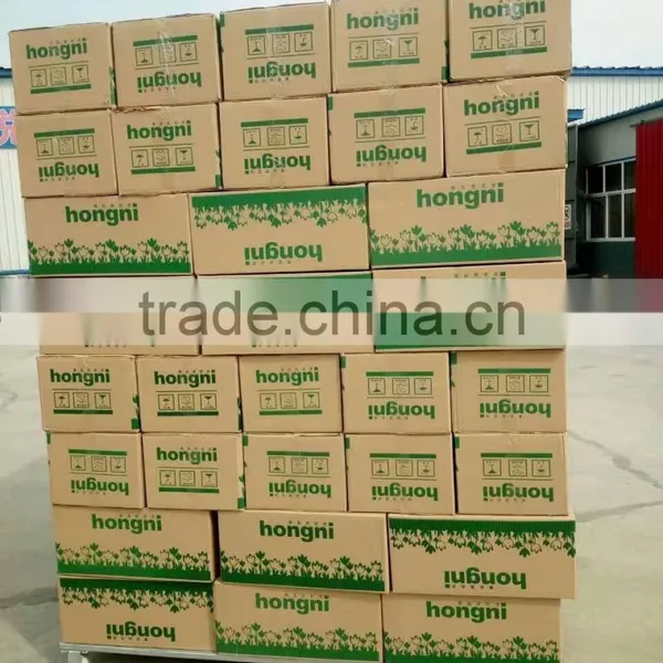 Florist Floral Foam for Fresh Flower Decoration for New Year photo-2