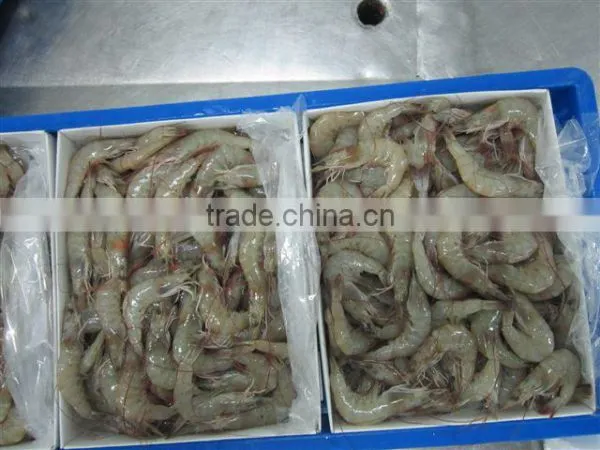 Vannamei Shrimps