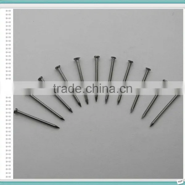 Wire Nails/wire Nails Maufactures in China photo-2