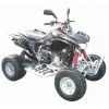 Taiwan ATV RX260CC EEC