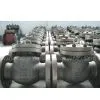 Swing Check Valve