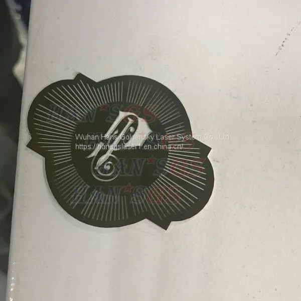 1000w High Accuracy Sheet Metal Laser Cutting Machine Fit for Custom Precision Cutting photo-5