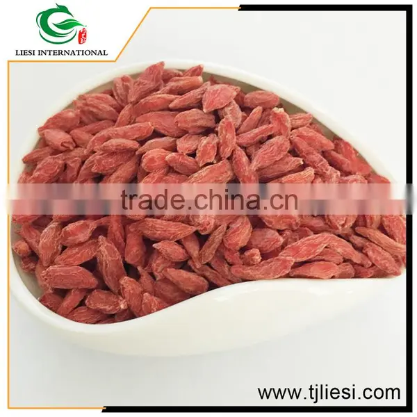 Low Cost High Quality China Goji Berry Extract photo-5