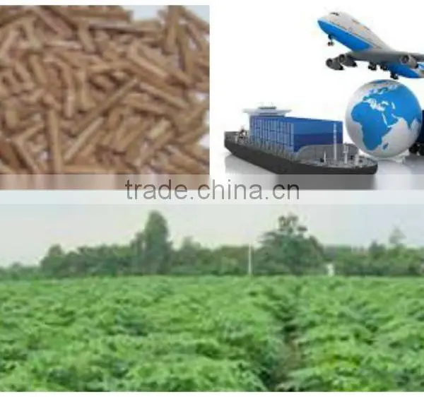 Pressed Cassava Stem in Pellets