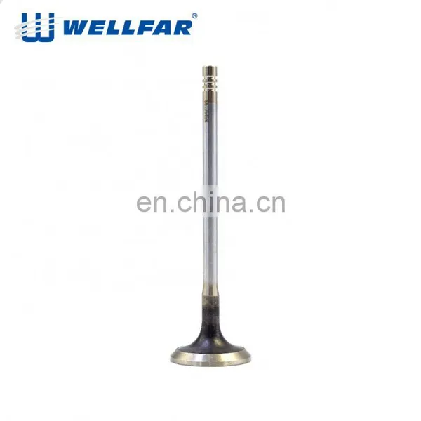 Wellfar OEM Manufacturer Engine Components For FIAT Idea 1.3 Intake and Exhaust Valve photo-4