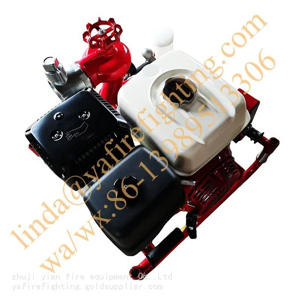 China-made Popular Portable Fire Pumps