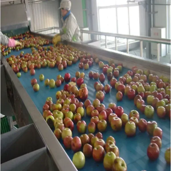 Shanghai Juice Filling Production Line Automatic Fruit Juice Plastic Bottle Filling Machine Production Line