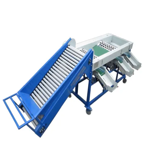 Vegetable Sorting Machine for Sale for Onion & Olive Sorting With Core PLC Components photo-6