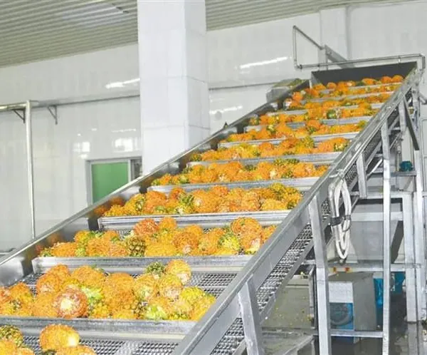 Mango Sweetsop Cherry Seed Remove Spinal Figs Juice Pulping Fruit Pulp Machine Fruit Coconut Pulp Process Line Orange Juicer photo-2