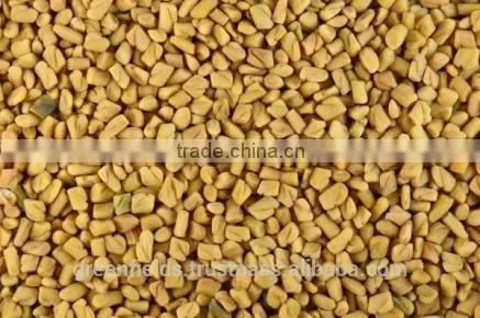 Fenugreek Natural Essential Oil