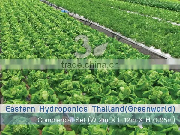 Hydroponics Grow System