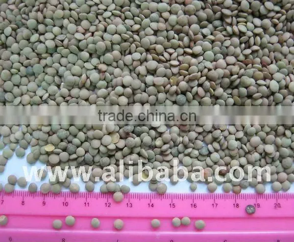 Green Lentils