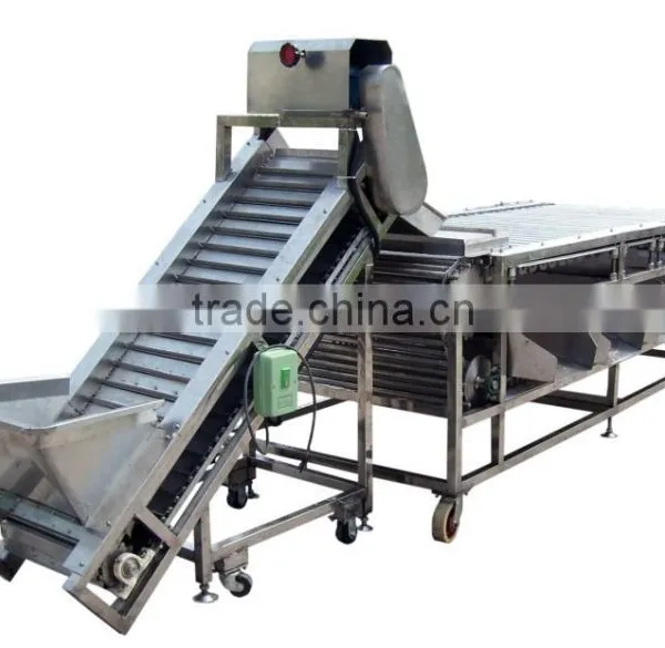 Fruit Juice Production Line