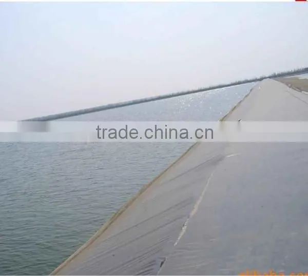 Good Sale Cheap Hdpe Sewage Geomembrane for Waterproof photo-5