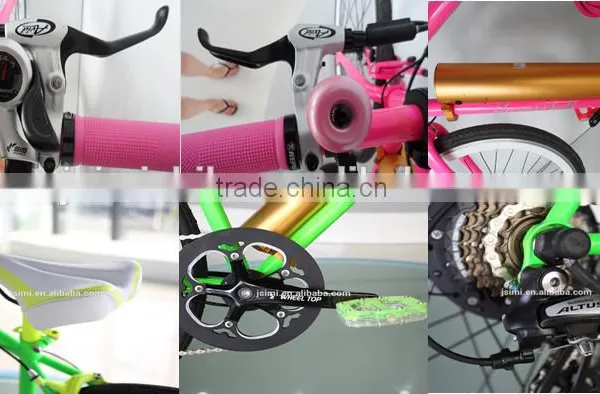 e Bike,e Cycle Electric Bike for Adult photo-6