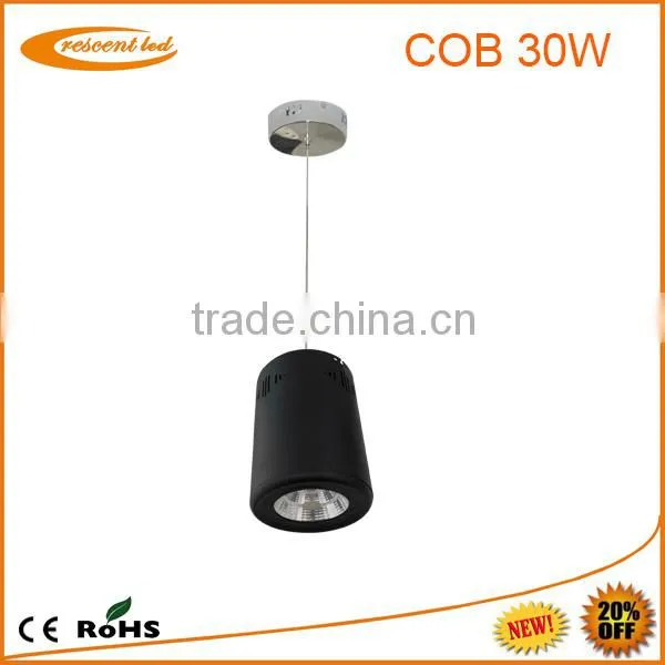 High Power Smd/cob Led Ceiling Light/ Cob Led Downlight 30w photo-3