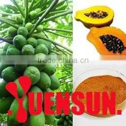 Papaya Extract Powder With Papain 2000,000 U/g