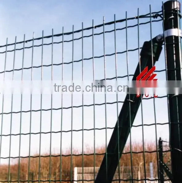 Holland Wire Mesh Fence
