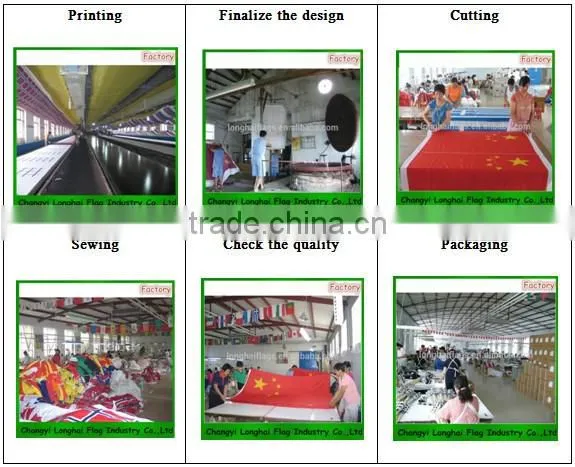 National Flag/ World Flag/Country Flag/All Kinds of Flag for Sale photo-5
