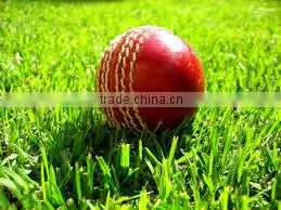 Good Quality Red Hand Stitched Genuine Leather Cricket Ball / Australian Cricket Ball / PVC Cricket Ball / Windball Cricket Ball
