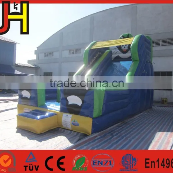 Blue Cat Outdoor Water Slide Inflatable Garden Water Slides For Parties photo-2