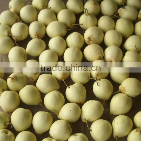 2015 Fresh ya Pear Packing in Carton With Good Quality photo-6