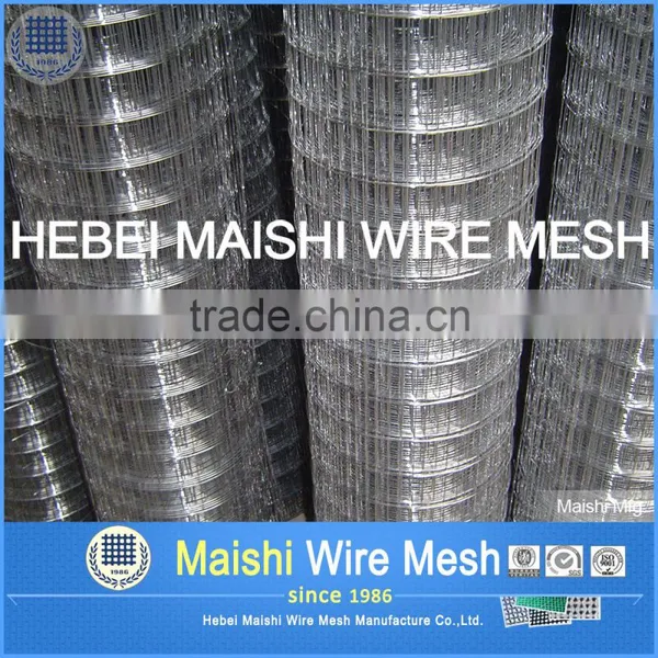 1/2''x1/2'' Electro Galvanized Welded Wire Mesh photo-6
