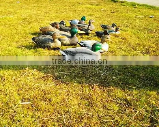 The Duck Couple ,wholesale Plastic Duck Decoys.HDPE Hunting Duck Decoys photo-6