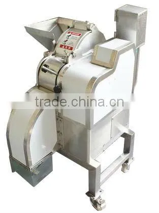 Food Processing Machinery Dice Cutter photo-3