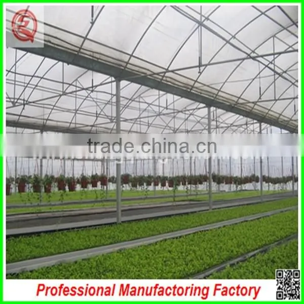 China Multi/single Span Plastic Film Greenhouse Agriculture for Sale photo-4