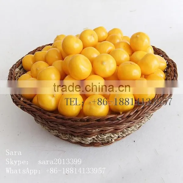 Wholesale Decorative Fake Fruit photo-2