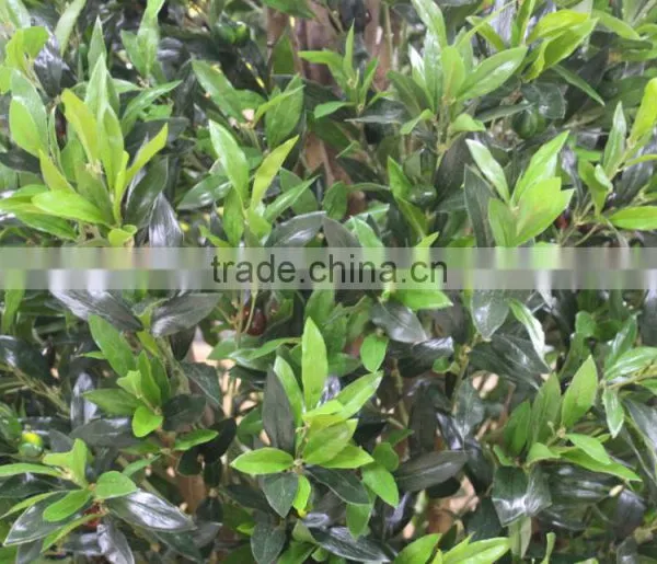 Wholesale Artificial Olive Tree , Green Bonsai Olive Tree photo-6