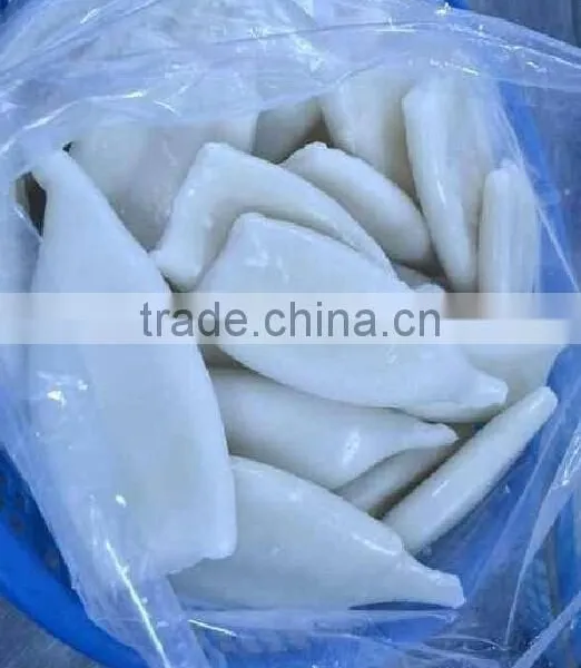 Frozen Squid Tube U5 photo-2