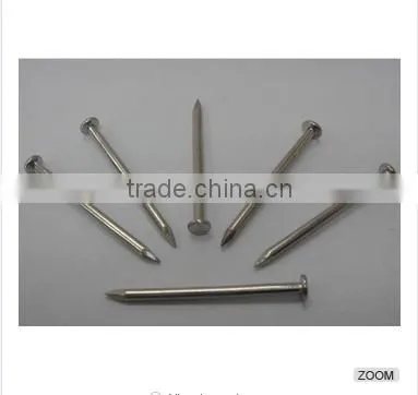 Galvanized Roofing Nails With Umbreall Head photo-5