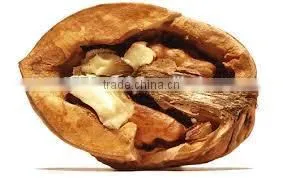Walnut Oil photo-5