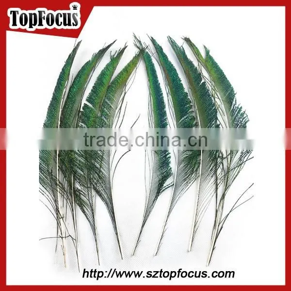 Cheap Down Raw Material Green Natural Peacock Feather for Sale photo-4