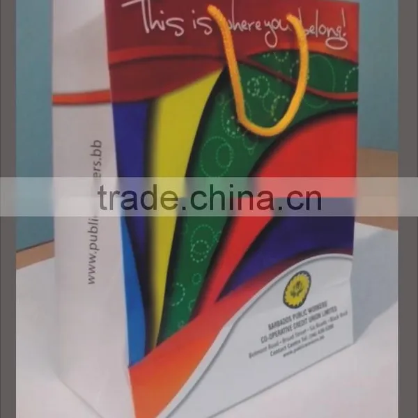 Paper Bags With Customize Design and Glossy Finish photo-3