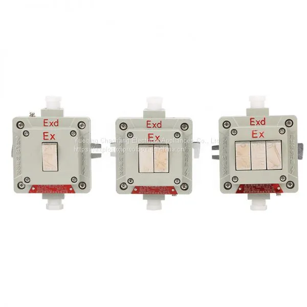 Explosion-proof Wall Switch BQK One Two Three Four Has the Certificate Lighting Switch photo-4