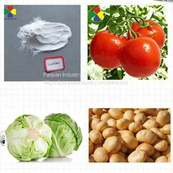Plant Hormone Triacontanol 1.5% ep Water Soluble Powder in Bulk Pesticides for Agriculture photo-2