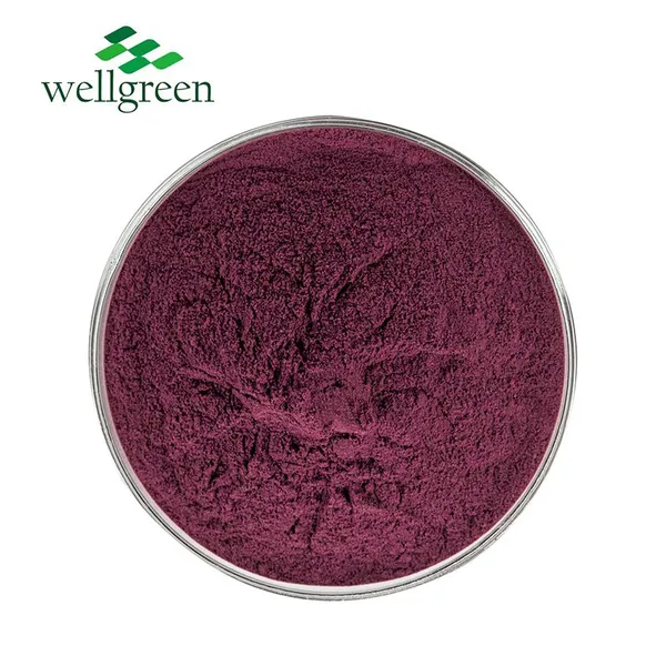 Plant Factory Hot Sale Low Price No Additives Food Grade Natural Elderberry Extract photo-2