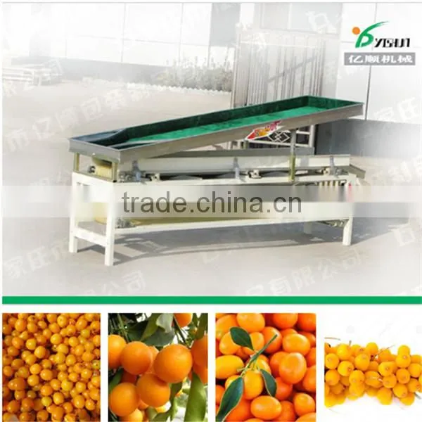 Apricot Sorting Machine photo-4