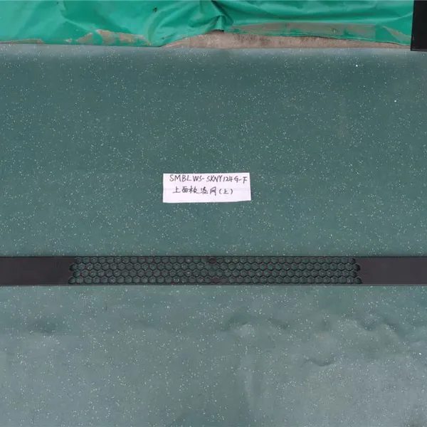 High Quality Truck Accessory Truck Parts Accessory SMBLWS-SKNY124G-F Decoration Panel Upper Net for Benz photo-2