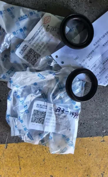 Oil Seal