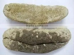 White Sand Fish
