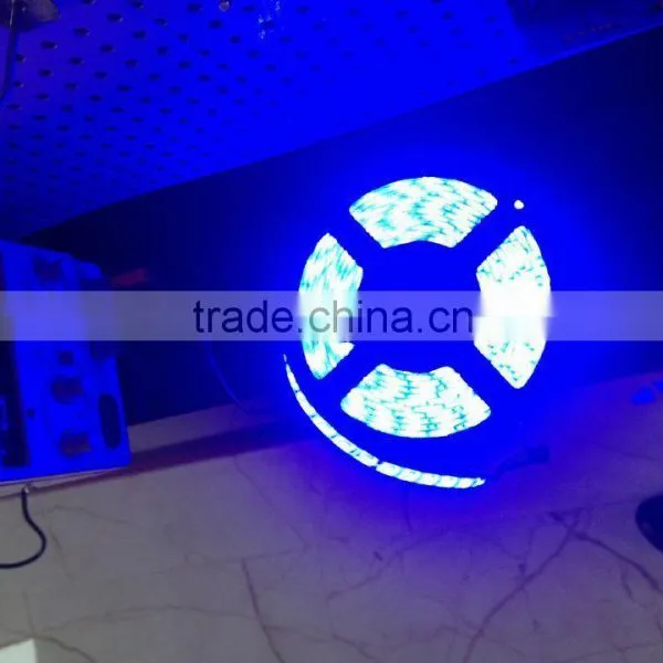 12V Led Flexible Strip Light photo-4