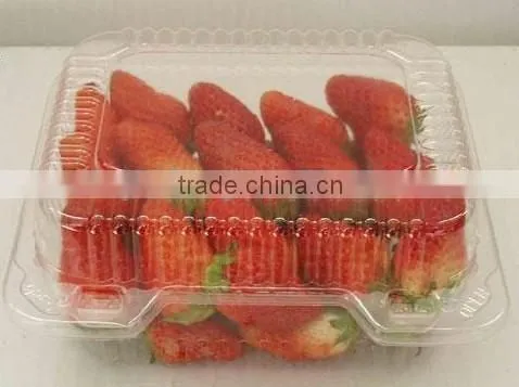 PET Plastic Transparent Boxes for Packing Strawberry photo-4