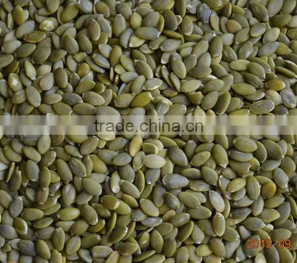 Hot Selling Shine Skin Pumpkin Seeds Where to Buy From Supplier photo-5