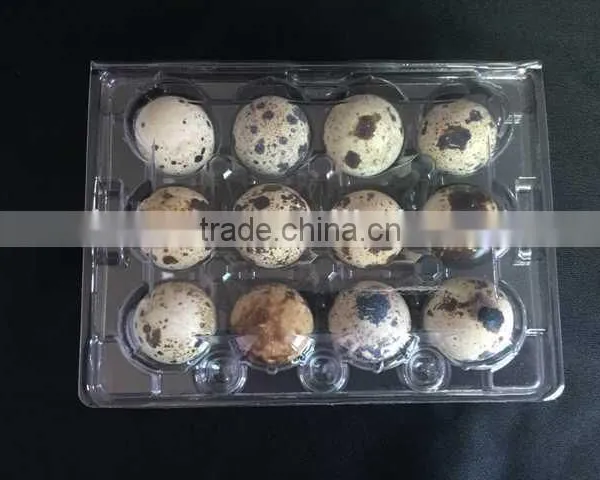 High Quality Disposable Plastic Eggs Tray Blister Packaging Quail Egg Tray 30 Holes Cells 30 Acounts Quality Choice photo-4